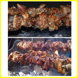 Barbeque BBQ MOTOR Grill Cyprus Greek Rotisserie - Operate with AC/DC 12/240V